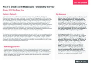 Wheat to Bread Process Facility Mapping and Functionality Overview - NES, October 2024