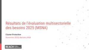REACH Mali MSNA 2025 Présentation Protection
