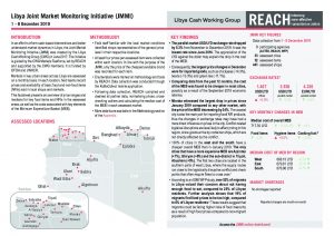 Joint Market Monitoring Initiative, Situation Overview - December 2019