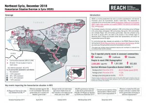 REACH_SYR_Factsheet_HSOS Regional Factsheet_NES_December 2018