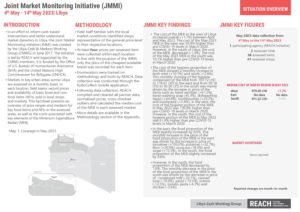 REACH LBY Situation overview JMMI May 2023