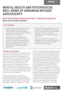 REACH MDA MSNA Qualitative 2023 - Report