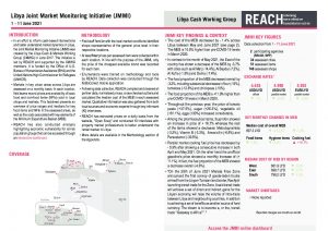REACH LBY Situation overview JMMI June 2021