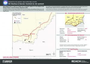NER_Factsheet_Displacement Site BiriBoullouaDaorodi_Juin2016