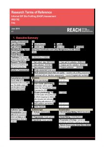 IRQ_TOR_Informal Site Profiling Assessment (RASP)_June 2018