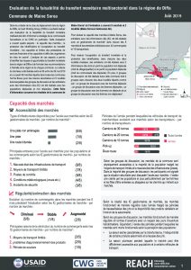 NER_Factsheet_Evaluation Cash Maine Soroa_Juillet 2019