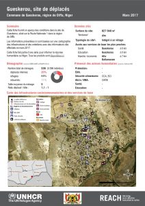 NER_HCR_Factsheet_Profil Site de Déplacés_Commune de Gueskerou_Gueskerou_Mars 2017