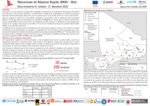REACH MLI Situation Overview RRM trimestre4 2020