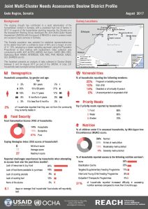 SOM_Factsheet_JMCNA Doolow District_August 2017