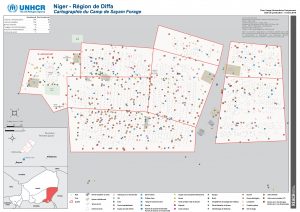 REACH_NER_Map_CampMapping-SayamForage_20190305_A1