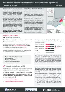 NER_Factsheet_Evaluation Cash NGuigmi_Juillet 2019