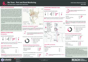 REACH SSD Factsheet Bor PRM April 2022
