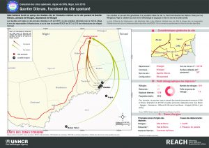 NER_Factsheet_Displacement Site QuartierDileram_Juin2016