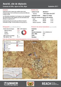 NER_Factsheet_Profil Site de Déplacés de Awaridi_Septembre 2017