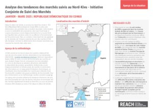 REACH - RDC - ICSM - Tendances Nord Kivu - Premier trimestre 2025