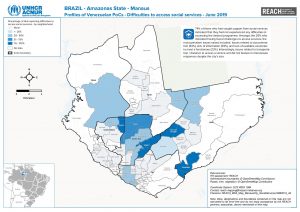 BRA_Map_ManausCity_SocialServices16082019_A4.pdf