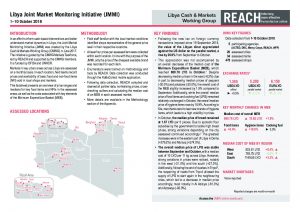LYB_Factsheet_Joint Market Monitoring Initiative (JMMI)_October 2018