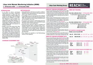 REACH LBY Situation overview JMMI November & December 2022