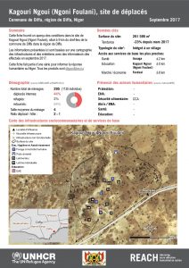 NER_Factsheet_Profil Site de Déplacés de Kagouri Ngoui_Septembre 2017