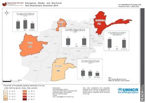 REACH AFG ESNFI Map No winter NFI Dec2019
