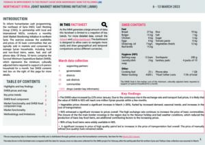 REACH Syria, Northeast Factsheet JMMI March 2023