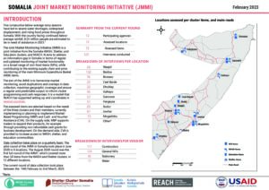 SOM2003_REACH Somalia Factsheet_JMMI_February_Q1_2023