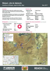 NER_HCR_Factsheet_Profil Site de Déplacés_Commune de N'Guigmi_Malyari_Mars 2017