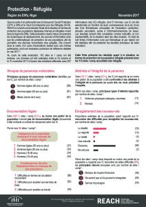 NER_Factsheet_Protection_PDI_Novembre 2017