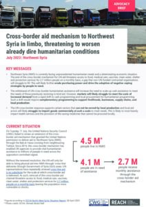 REACH_SYR_CWG_NWS_Advocacy_Brief_July2023