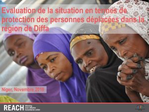 NER_Presentation_Evaluation Protection à Diffa_Novembre 2018