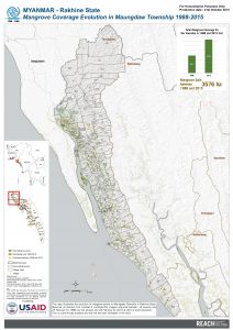 Mangrove Coverage Evolution in Maungdaw Township 1988-2015