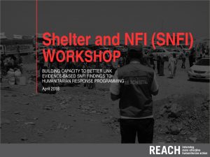 SYR_Presentation_Shelter and NFI Assessment_Workshop_April 2018