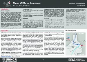 SSD_Factsheet_Maban_Market_Assessment_November2018