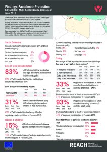 LBY_Factsheet_MSNA III Findings, Protection_June 2016
