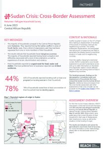 Sudan - Cross-border assessment - Refugee / Returnee households in CAR - Factsheet - June 23