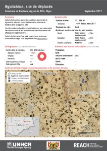 NER_Factsheet_Profil Site de Déplacés de Nguitchima_Septembre 2017