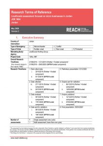 Jordan Home-based Business Assessment ToR, V2 May 2020
