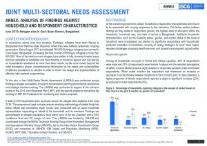 Light Multi-Sector Needs Assessment - Annex - June 2019