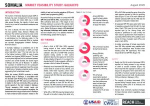 Market Feasibility Study in Galkacyo, Somalia - August 2020