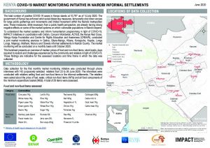 COVID-19 Market Monitoring Initiative (MMI) in Nairobi informal settlements factsheet, Kenya – June 2020