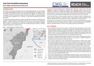 NGA_SituationOverview_Joint_Cash_Feasibility_Assessment_Gulak_February2018