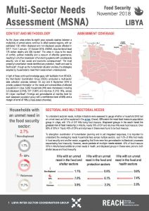 LBY_Factsheet_MSNA_FoodSecurity_November 2018