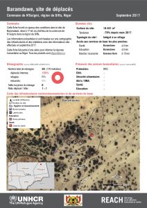 NER_Factsheet_Profil Site de Déplacés de Baramdawe_Septembre 2017