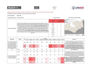 Tableau d'indicateur, vulnérabilités identifiées dans le cadre de la prévention face au COVID-19, Diffa, Niger - Février 2020