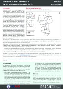 REACH Mali - Evaluation rapide à Ménaka ville - Juin 2022
