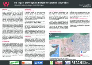 REACH_SOM_Factsheet_Protection_Assessment_100 Bush IDP Site_Bossaso