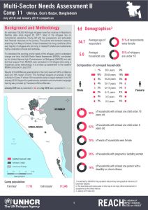 BGD_Factsheet_MSNA II Camp 11_January 2019