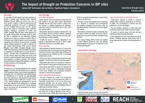 REACH_SOM_Factsheet_Protection_Assessment_Sahara IDP Site_Burco