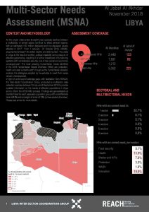 LBY_Factsheet_MSNA_Mantikas Compiled_November 2018