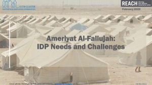 Ameriyat Al-Fallujah: IDP Needs and Challenges, Preliminary Findings Presentation June 2022